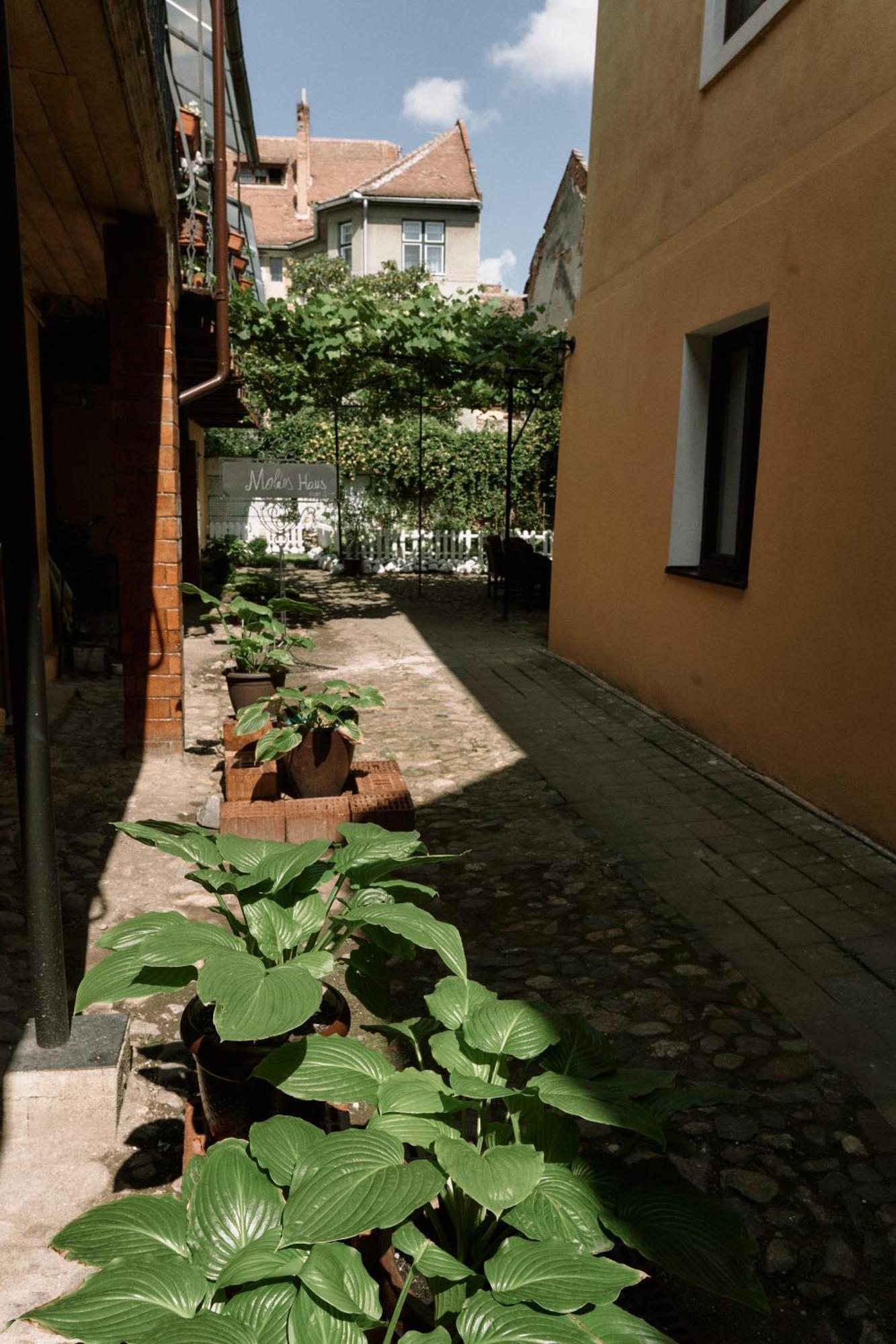 Moldos Haus Sibiu Exterior foto